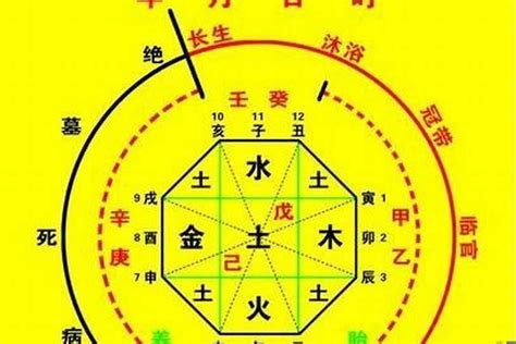 時辰 八字|生辰八字算命、五行喜用神查询（免费测算）